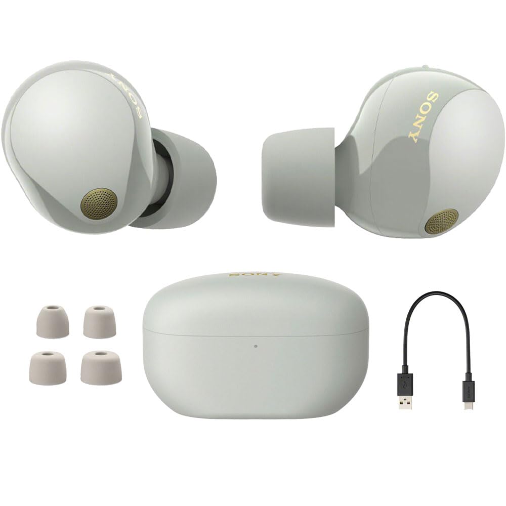 Sony WF-1000X True Wireless Noise-Canceling Earbuds