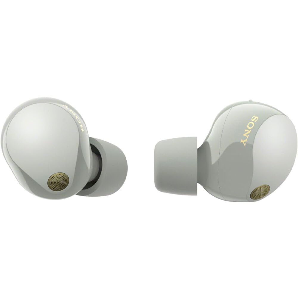 Sony WF-1000X True Wireless Noise-Canceling Earbuds