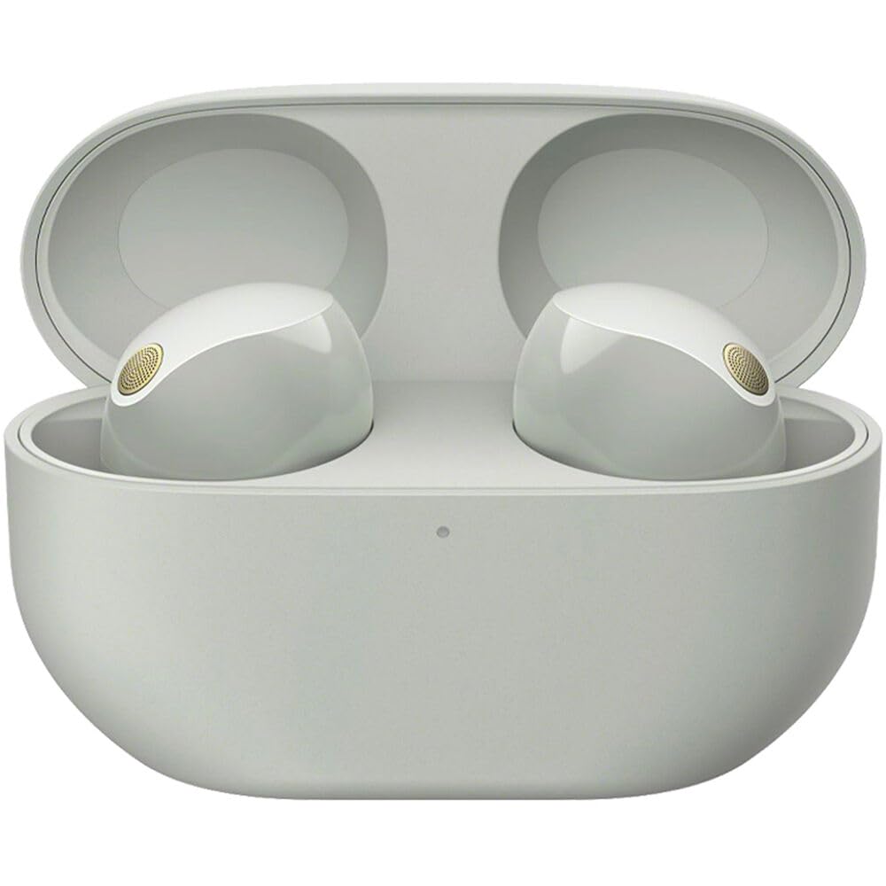 Sony WF-1000X True Wireless Noise-Canceling Earbuds