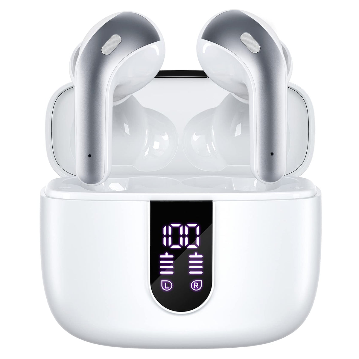 TAGRY True Wireless Earbuds with LED 60H Charging Case