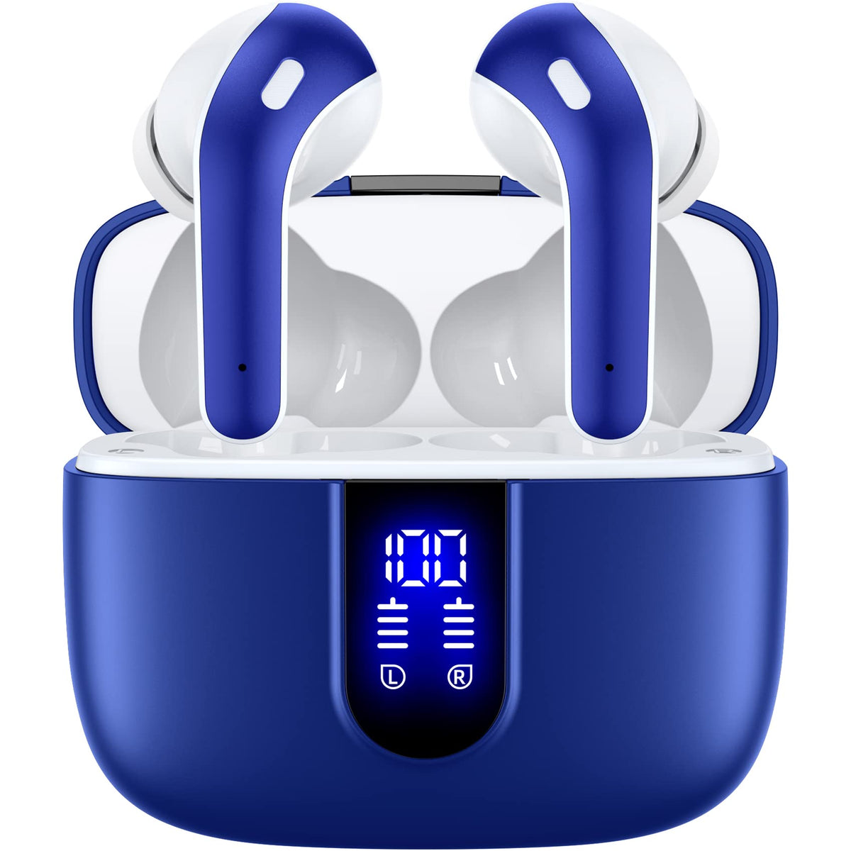 TAGRY True Wireless Earbuds with LED 60H Charging Case
