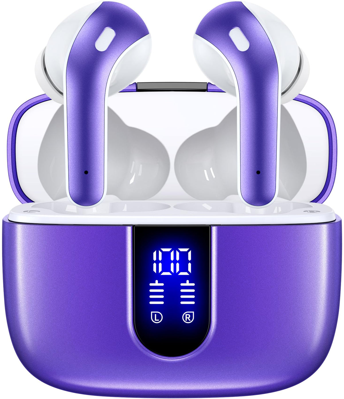 TAGRY True Wireless Earbuds with LED 60H Charging Case